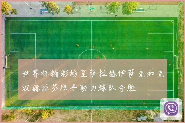 世界杯精彩纷呈萨拉赫伊萨克加克波赫拉芬联手助力球队夺胜