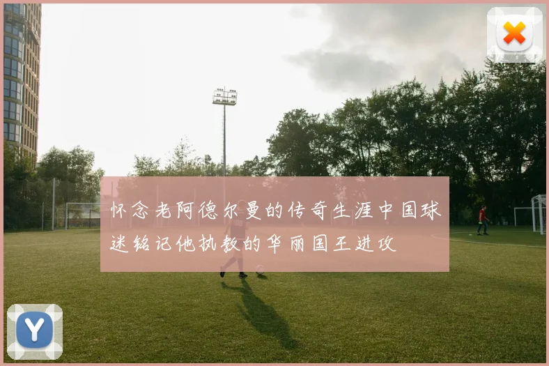 怀念老阿德尔曼的传奇生涯中国球迷铭记他执教的华丽国王进攻